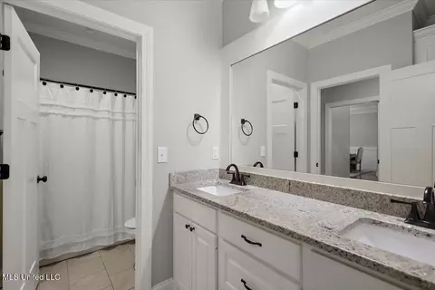 Bath - 311 E Brandon Ct, Brandon, MS 39042 photo 4 of 5