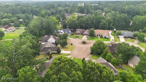 View/Area - 311 E Brandon Ct, Brandon, MS 39042 photo 3 of 6