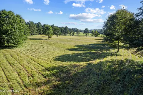 Lake Crest Place, Flora, MS 39071 photo 9