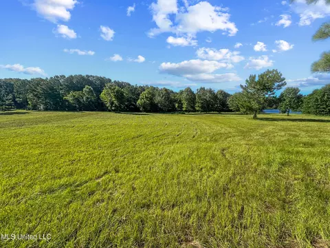 Lake Crest Place, Flora, MS 39071 photo 11