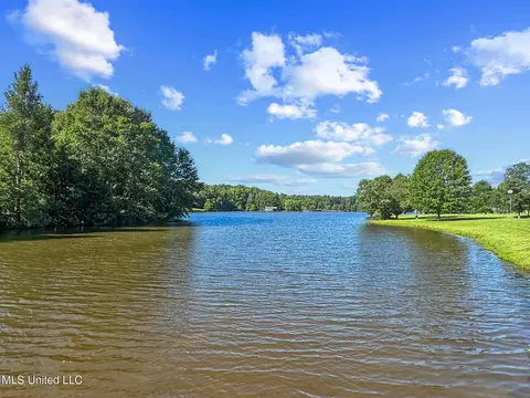 Lake Crest Place, Flora, MS 39071 photo 15