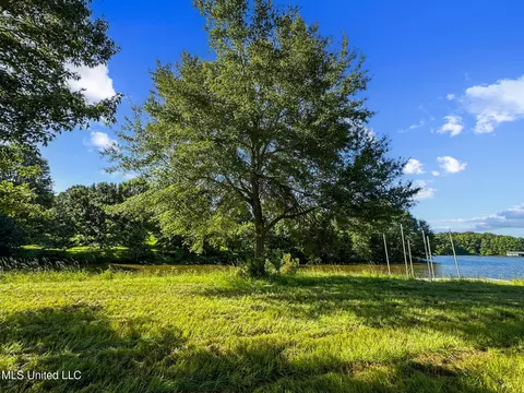 Lake Crest Place, Flora, MS 39071 photo 13