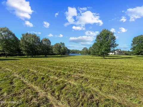 Lake Crest Place, Flora, MS 39071 photo 12