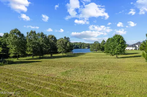 Lake Crest Place, Flora, MS 39071 photo 10