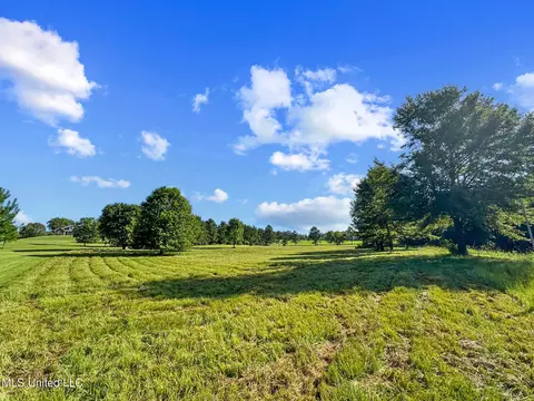Lake Crest Place, Flora, MS 39071 photo 14