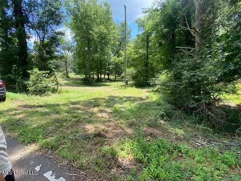 0 Mcgowen Rd, Lake Cormorant, MS 38641