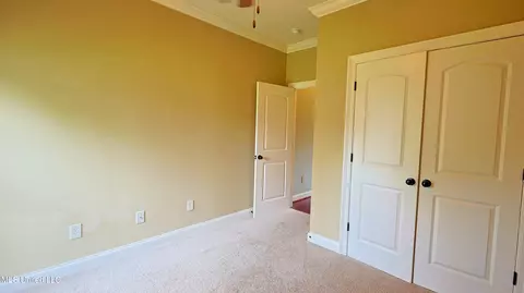 Other - 249 Greenfield Ridge Dr, Brandon, MS 39042 photo 3 of 3