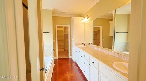 Bath - 249 Greenfield Ridge Dr, Brandon, MS 39042 photo 1 of 5