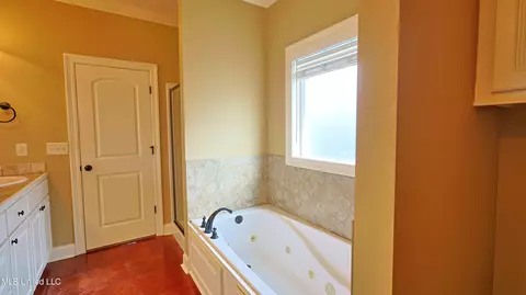 Bath - 249 Greenfield Ridge Dr, Brandon, MS 39042 photo 3 of 5