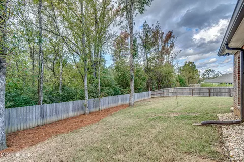 262 Falls Xing, Madison, MS 39110 photo 55