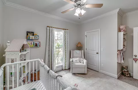 262 Falls Xing, Madison, MS 39110 photo 25