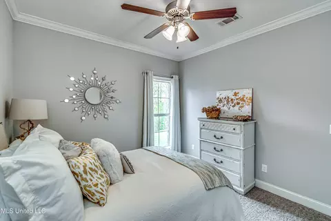 262 Falls Xing, Madison, MS 39110 photo 19