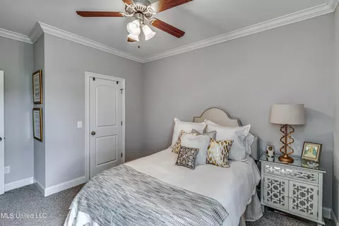 262 Falls Xing, Madison, MS 39110 photo 20