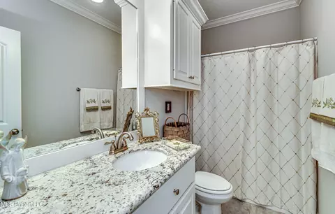 262 Falls Xing, Madison, MS 39110 photo 22