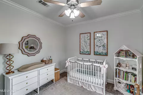 262 Falls Xing, Madison, MS 39110 photo 24