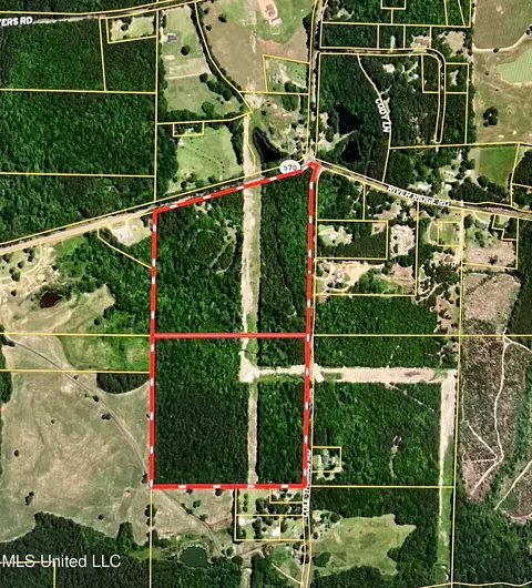 2194 Hwy 570 E, Summit, MS 39666 photo 11