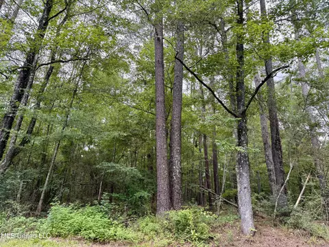 2194 Hwy 570 E, Summit, MS 39666 photo 8