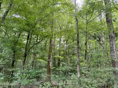 2194 Hwy 570 E, Summit, MS 39666 photo 6