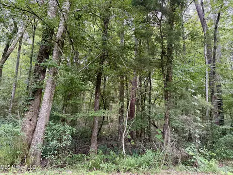 2194 Hwy 570 E, Summit, MS 39666 photo 7