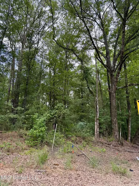 2194 Hwy 570 E, Summit, MS 39666 photo 2