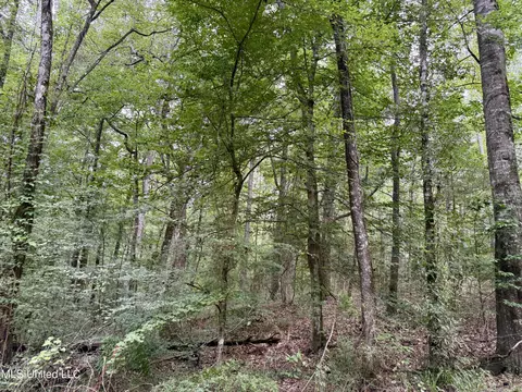 2194 Hwy 570 E, Summit, MS 39666 photo 5