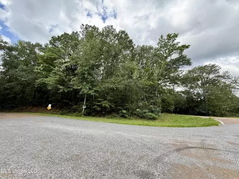 2194 Hwy 570 E, Summit, MS 39666 photo 4