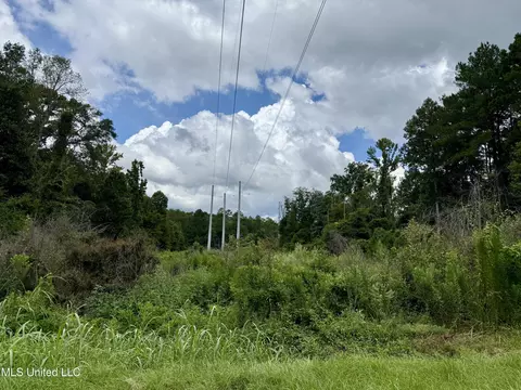 2194 Hwy 570 E, Summit, MS 39666 photo 10