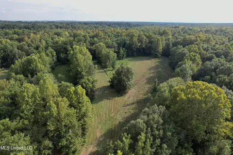 357 Robinson Springs Rd, Flora, MS 39071 photo 16
