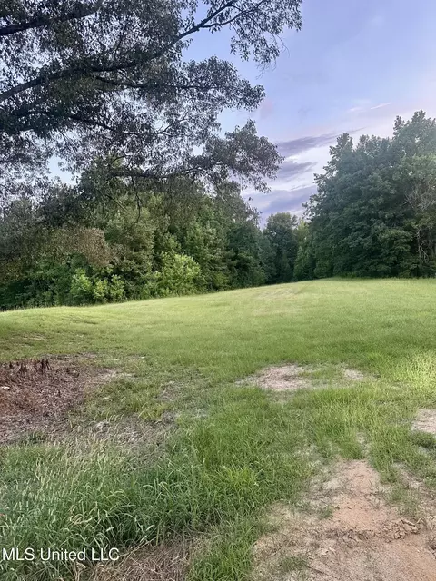 357 Robinson Springs Rd, Flora, MS 39071 photo 3