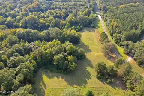 357 Robinson Springs Rd, Flora, MS 39071 photo 5