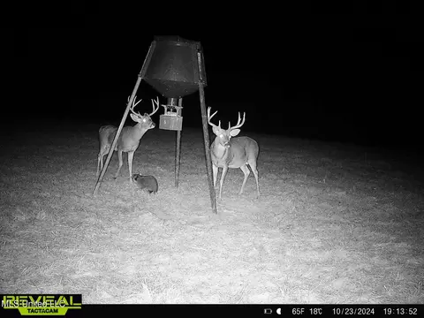 357 Robinson Springs Rd, Flora, MS 39071 photo 7