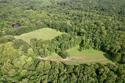 357 Robinson Springs Rd, Flora, MS 39071 photo 20