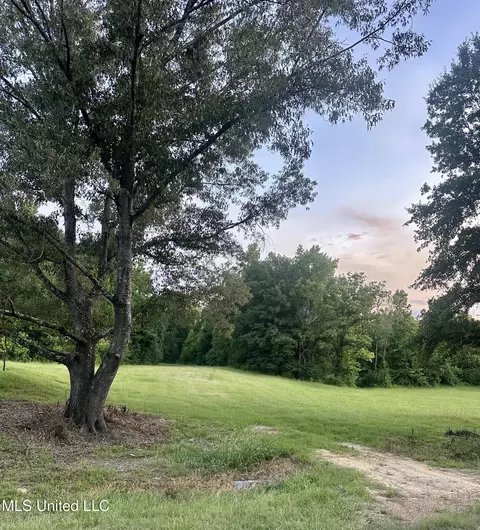 357 Robinson Springs Rd, Flora, MS 39071