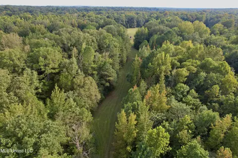 357 Robinson Springs Rd, Flora, MS 39071 photo 18