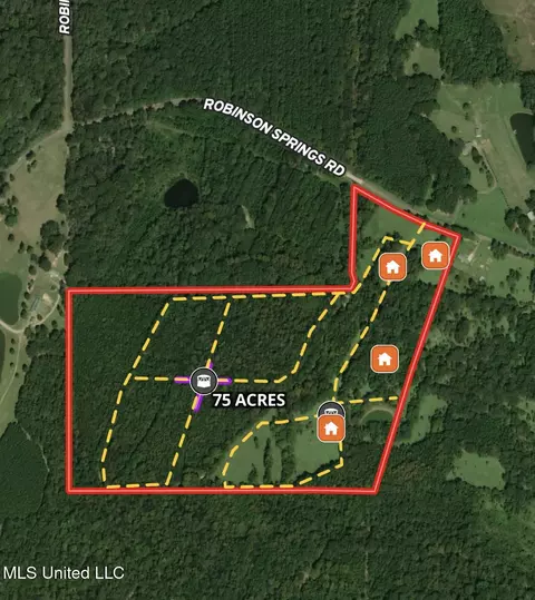357 Robinson Springs Rd, Flora, MS 39071 photo 19