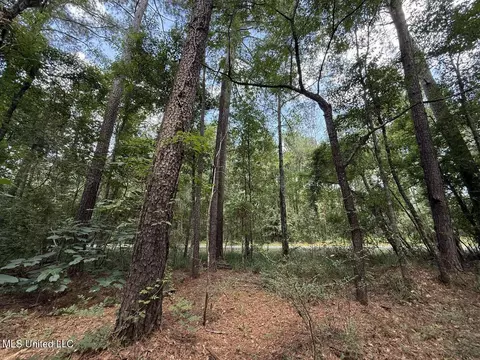 1 72 Acres Crosby Rd, Seminary, MS 39479