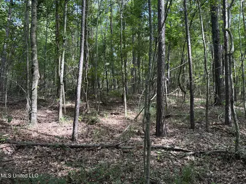 00 Shell Oil Rd, Brandon, MS 39042 photo 9