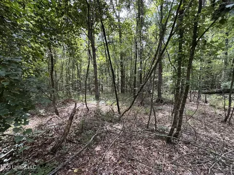 00 Shell Oil Rd, Brandon, MS 39042 photo 15