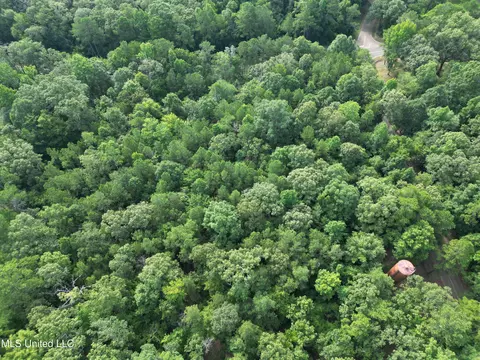 00 Shell Oil Rd, Brandon, MS 39042 photo 3