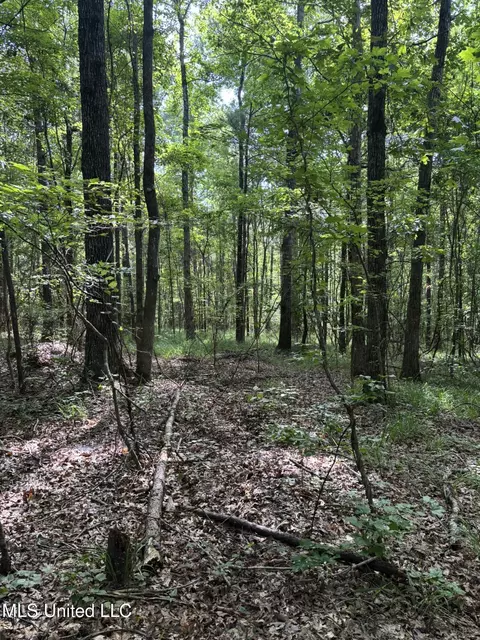 00 Shell Oil Rd, Brandon, MS 39042 photo 10