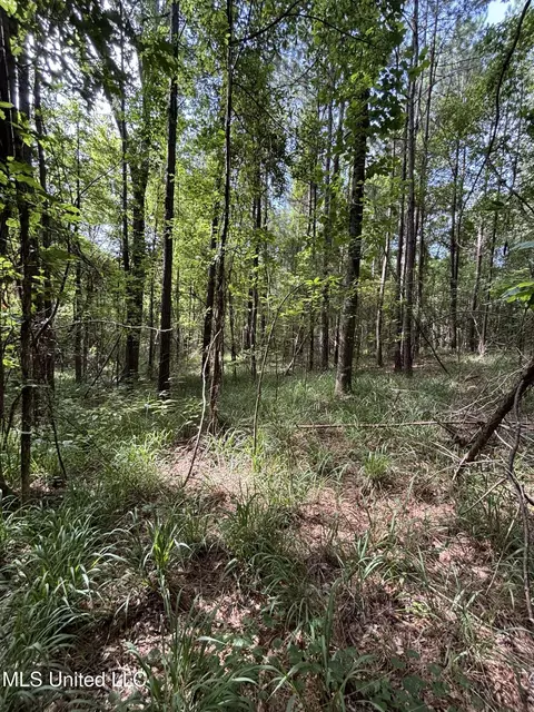 00 Shell Oil Rd, Brandon, MS 39042 photo 16