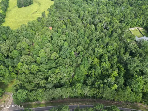 00 Shell Oil Rd, Brandon, MS 39042 photo 2