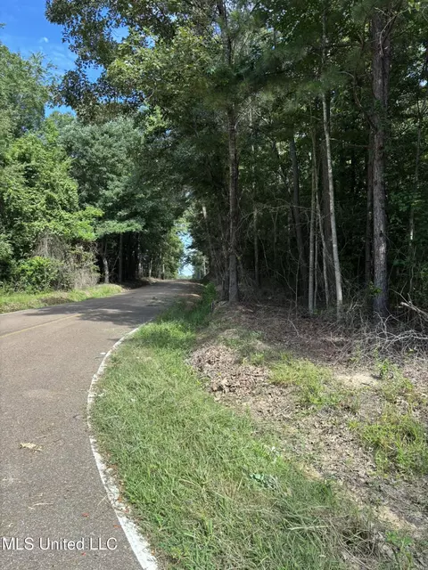 00 Shell Oil Rd, Brandon, MS 39042 photo 5