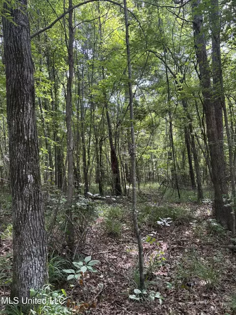 00 Shell Oil Rd, Brandon, MS 39042 photo 7
