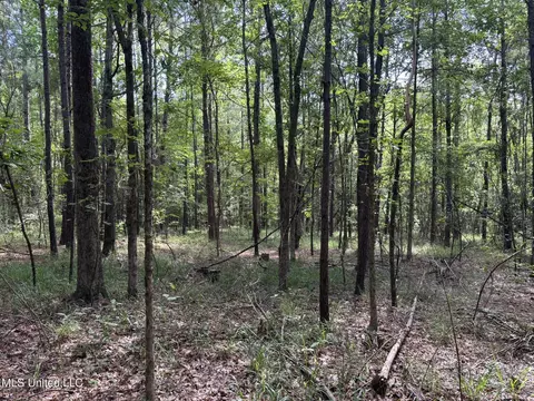 00 Shell Oil Rd, Brandon, MS 39042 photo 13