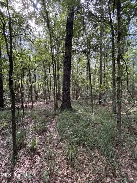 00 Shell Oil Rd, Brandon, MS 39042 photo 14