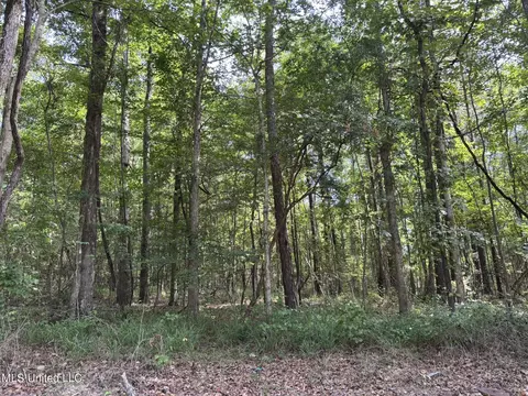 00 Shell Oil Rd, Brandon, MS 39042 photo 6