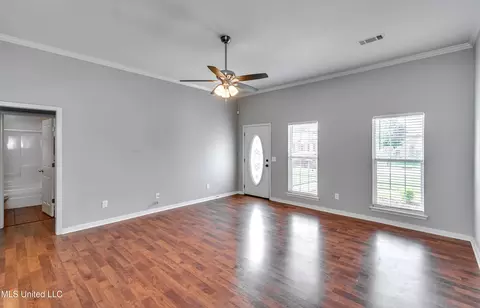 Living - 166 Cedar Spring Cir, Pearl, MS 39208 photo 3 of 5