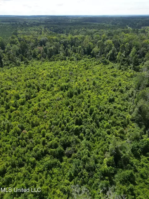 00 Johns Shiloh Rd, Brandon, MS 39042