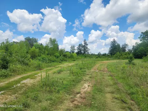 1820 County Road 478, Myrtle, MS 38650 photo 8